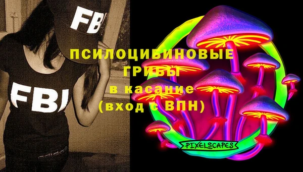 бошки Арсеньев
