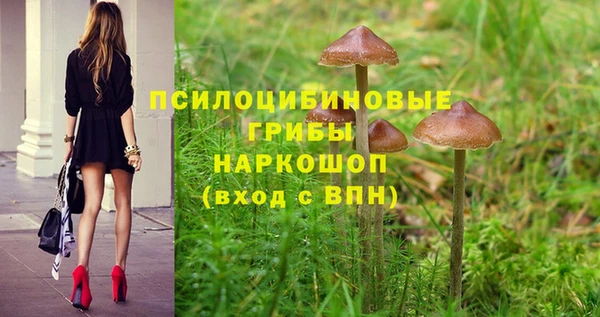 соль курить ск Армянск