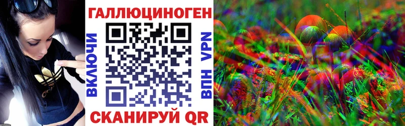 Псилоцибиновые грибы Psilocybine cubensis  Бийск 